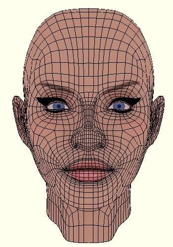 Face Wireframe